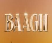 BAAGH from baagh