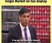 Rishi Sunak's hypocrisy on the EU Single Market on full display from sunak