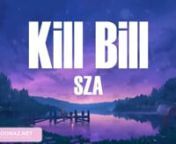 Kill Bill - Sza from kill bill sza