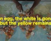 An egg, the white is gone but the yellow remains. nVideo by Mohamed Thara.nnDuration : 3&#39; 50 minProduction : MohamedTharaStudio.Format : Full HDnYear : 2023. nnIn the video, we see an African man breaking eggs with a knife, one after another, in a repetitive, obsessive, and monomaniacal act. He repeated