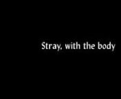 Stray, with the bodynJune 7, 2023 / 7:30 pmnWoodbine, Ridgewood, NYnnVideos and films by Kayla Anderson, Paige Taul, Stephanie Barber, Lilli Carré, James N. Kienitz Wilkins, Peter Rose, Alee Peoples &amp; Mike Stoltz, Sam Taffel, produced between 1983-2023. Organized by Jesse Malmed. Followed by a conversation with filmmakers, hosted by Nellie Kluz. nnWalking a strayed line, perhaps the perimeter of the frame, the bounded bouncing. There’s grace in a phrase like “we zoom in”: it’s fun t