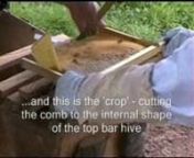 How to convert bees on frames to a top bar hive using the &#39;chop and crop&#39; technique. This causes minimal disturbance to the bees and is most suitable for the transfer of nucs, where the colony is developing but the queen is not yet laying out all the combs.