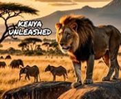 Dive into the heart of Africa with this enthralling documentary-style travel vlog, as we venture through Kenya’s stunning landscapes on a wildlife safari. Experience the thrill of the vast savannahs, the intimacy of up-close animal encounters, and the vibrant life of local communities.nn🌍 Explore the Wild:nnMajestic Lions: Witness the kings of the jungle in their natural habitat.nElegant Giraffes: Watch giraffes graze amongst the acacias.nElusive Leopards: Catch a glimpse of leo