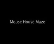 My project, titled Mouse House Maze is a 3D animated short about a mouse in a suburban home who notices a pie on the stove in an empty kitchen. A crack in the wall nearby will allow him to get to it. The mouse goes into his mouse hole and ventures throughout the house’s crawl space to get to the specific hole near the stove. But there are multiple holes in the home’s wall and he has to go through multiple ones before he finds the correct one. The short is made using Cinema 4D, 3D Coat, Adobe