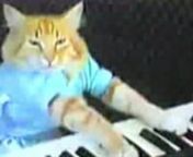 The Rocketboom Institute for Internet Studies presents its findings on &#39;Play Him Off Keyboard Cat&#39;, a modern version of the Vaudevillian practice of playing piano to distract from FAILnnFor links to material in this episode visit rocketboom.com/know-your-meme-play-him-off-keyboard-cat/nFor ongoing research into Internet phenomena visit the Internet Meme Database @ knowyourmeme.com