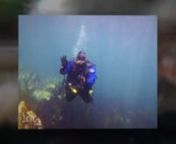 This is a short show reel about our dives at Portmellon (Cornwall, UK) in May 2021. Portmellon is one of our favourite dive sites in Cornwall as is close to the famous harbour town of Mevagissey, with lots to see beneath the surface. nnAbout Scuba 2000: We are a leading SSI scuba diving centre, with 25+ years’ experience in the diving industry. We have courses available in Leicester and Cornwall, England.nnLet us open the magical underwater world to you through quality diving courses, holida