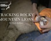 Tracking Rocky Mountain Lions is a journey deep into the snow-covered Rocky Mountains of Montana and Colorado to demystify how wildlife officials determine how many mountain lions live in the region. Their secretive nature makes determining the exact population size, a significant obstacle. Wildlife managers face the difficult task of preserving populations of mountain lions, while working within the needs and desires of the general public. Modern scientific technology and techniques are uncover