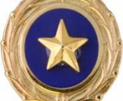 NO-ONE with family who serves wants their BLUE STAR STATUS to turn SILVER or GOLD; a Blue Star Family has immediate members who have served, a Silver Star Family has immediate members who have been injured, (whether these wounds are visible or not) &amp; a Gold Star Family has lost a member in battle (KIA). nnABOUT: To further clarify these differences, in this video, Blue Star, Silver Star &amp; Gold Star Families are defined while their banners &amp; special pins are explained, especially rega
