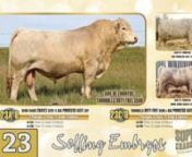 Lot 23ABCD Embryos -PIC -Superstar 2020.mp4 from abcd
