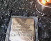 Den 26. november hvert år blankpusses snublesteiner over hele Norge til minne om jødene som ble depotert under 2. verdenskrig. På denne dagen i 1942 dro DS Donau fra Oslo med 532 norske jøder ombord.nnI