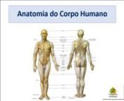 Anatomia do Corpo humano, quadrantes e divisão do corpo, esqueleto humano, aparelho digestivo, sistema respiratório e sistema circulatório