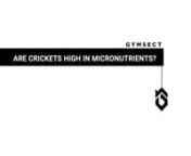 ARE CRICKETS HIGH IN MICRONUTRIENTS?nnWhen you consume cricket protein powder, you’re eating the entire cricket. Which means valuable micronutrients come along for the ride.nnMicronutrients, which include vitamins, minerals, antioxidants and additional co-factors such as co-enzymes, are essential to life.nnThey make myriad biochemical processes happen, and being deficient in any can leave your body struggling to function.nnIntense training puts increased demand on your body. Free-radicals are