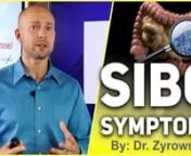 SIBO Food List: https://nuvision.lpages.co/sibo-food-plan/nnSibo Symptoms &#124; Discover How To Get Rid Of SIBO is a video that is teaching on the conditions small intestinal bacterial overgrowth and how to reverse this gut condition. nnI tell my story often as to how I suffered from many sibo symptoms and was unable to find answers to this issue until I discovered the answers myself. Literally everyone I went to for help either didn&#39;t know what to do or wanted to give me the medicinal approach to r
