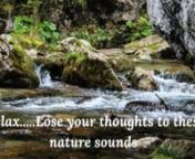 #rainforest #relax, #sunskyrainmoon, #study #sleep #healingwithnature #asmrnn⚠️ Special Offer: Get an Abundance Mentality Mindset:https://bit.ly/3n5XSqW (limited time offer)nn� What are the benefits of listening to nature sounds?nNew data finds that even listening to recordings of nature can boost mood, decrease stress, and even lessen pain. According to new data, listening to birdsong helped decrease stress.nWe have known it for centuries. The sounds of the forest, the scent of the tree