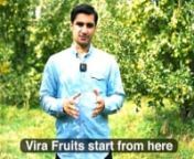 https://virafruits.com/fruits/applenVira Fruits is a leading Iranian apple exporter that has always been committed to providing high-quality products and services at competitive prices.nnSince we care about our customers’ satisfaction, we hire skilled and trained manpower as well as modern fruit storage methods to take good care of products from the very first step, which is sourcing the demanded product, to the very last one, which is delivering them in great conditions to our customers. This