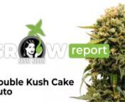 The Kush family has become an essential element of cannabis breeding in the US. Kush mixed with other cultivars has created many of the most popular contemporary cannabis strains. Double Kush Cake contains all the best traits of our many Kush cultivars, and is the Sensi Seeds tribute to our Kush dynasty. The sweet, dank flavours and relaxing effects bring the US Kush experience home.nnThis strain is 70% indica, 10% sativa, and 20% ruderalis. It’s a feminized autoflowering variant, which makes