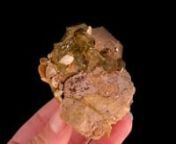 Available on Mineralauctions.com, closing on 3/24/2022.nnDon’t miss weekly fine mineral, crystal, and gem auctions on mineralauctions.com. Dozens of pieces go live each week, with bids starting at just &#36;10!nnMineralauctions.com is brought to you by The Arkenstone, iRocks.com