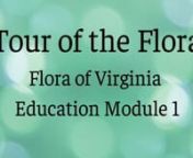 This module provides the viewer a trip though the Flora of Virginia, the Manual or printed version. Pages numbers in the Manual are given during this coverage, and viewers are encouraged to follow along in the Manual, if one is available. There are 5 sections or topics in this module. The timestamps and titles of each sections are listed below and descriptions follow. nn06:27Section IWhat Is a “Flora”?What Plants Does the Flora of Virginia Cover?n11:35Section 2Backgroundfern, pin