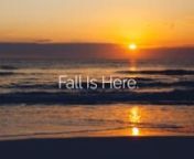 Be inspired by all that Corolla Outer Banks has to offer in the fall. Find Yourself Here.nhttps://www.corollanc.com/