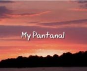 &#39;My Pantanal’ is a film about a boy named Aerenilso, who lives on a fazenda (ranch) in the Pantanal, the world’s largest and wildest wetland, in Brazil. Aerenilso shows us what it is like to be a Pantaneiro (a cowboy), riding his horse, doing his chores, and exploring this incredible landscape that is teeming with wildlife, including the jaguar. We hear and see the issues through his viewpoint – the pride of being a Pantaneiro, the concern of leaving the place, his love of the landscape, h