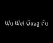 וו-ווי גונג-פו, התנועה הספונטנית של הגונג-פו, היא אומנות לחימה סינית לא-קלאסית. השיטה מבוססת על תורתו של ברוס לי, ויוסדה ע