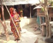 http://www.1we.nl Eén koe maakt een wereld van verschil voor een familie in Bangladesh. Neem het gezin van Minarul in Rajshahi, vlakbij de grens met India. Het gezin woont samen met 4 andere families om de kosten te kunnen delen. Minarul en zijn vrouw hebben drie kinderen, van 4, 6 en 8 jaar. nnEnorme veranderingnIn 2011 kregen ze de 1We Cow, die hun hele leven compleet veranderde. Elke dag geeft de koe zo’n 7 liter melk. Door die te verkopen, verdienen ze € 2,- per dag. Ze sparen ook geld