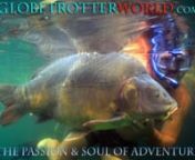 A short HD video clip of a 2 hour movie that I filmed in France, Italy and Gran Canaria.nThis is a short HD video trailer of my latest 2- hour movie GLOBETROTTER CARP QUEST.nI poured my passion and soul into this film, and so is on a more personal level than previous movies. Even though it contains plenty of technical angling advice and also footage of some huge carp, I also wanted to not dwell too much on weights and size of the fish, but more on the true passion for fishing in wild waters and