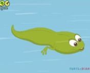 This is a lesson plan for teachers and children. In this, children learn about the frog life cycle.