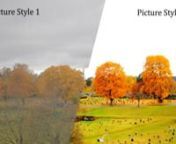 Tutorial on how to use picture styles to increase the dynamic range of the Canon 7D / 5DMkII.nnCustom picture styles are an amazing feature that almost compensate for the lack of a raw codec for video capture on the Canon DSLRS. The default picture styles on the camera are geard towards producing nice results out of the box but are not very good if you intend to do color correction and grading in postprocessing. This tutorial shows how to use custom picture styles that produce very flat, high dy
