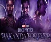 Black Panther: Wakanda Forever (Walt Disney Pictures) With:Lupita Nyong&#39;o, Danai Gurira, Winston Duke, Florence Kasumba, Dominique Thorne, Michaela Coel, Tenoch Huerta, Martin Freeman, and Angela Bassett.&#60;br/&#62;Black Panther: Wakanda Forever is an upcoming American superhero film based on the Marvel Comics character Black Panther. Produced by Marvel Studios and distributed by Walt Disney Studios Motion Pictures, it is intended to be the sequel to Black Panther and the 30th film in the Marvel Cinematic Universe. &#60;br/&#62;Release date: November 11, 2022 (USA)&#60;br/&#62;Director: Ryan Coogler&#60;br/&#62;Distributed by: Walt Disney Studios Motion Pictures