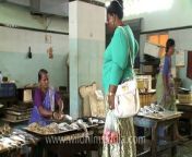 Video showing the Colaba fish market, Mumbai. Prawns and fish being cleaned and prepared for sale, Gujarat, India&#60;br/&#62;&#60;br/&#62;Mumbai formerly known as Bombay in English, is the capital of the Indian state of Maharashtra. It is the most populous city in India, and the fourth most populous city in the world, with a total metropolitan area population of approximately 20.5 million. Along with the neighbouring urban areas, including the cities of Navi Mumbai and Thane, it is one of the most populous urban regions in the world. Mumbai lies on the west coast of India and has a deep natural harbour. In 2009, Mumbai was named an Alpha world city. Mumbai is also the richest city in India, and has the highest GDP of any city in South, West or Central Asia.&#60;br/&#62;&#60;br/&#62;The seven islands that came to constitute Mumbai were home to communities of fishing colonies. For centuries, the islands were under the control of successive indigenous empires before being ceded to the Portuguese and subsequently to the British East India Company. During the mid-18th century, Mumbai was reshaped by the Hornby Vellard project, which undertook the reclamation of the area between the seven constituent islands from the sea. Completed by 1845, the project along with construction of major roads and railways transformed Bombay into a major seaport on the Arabian Sea. Economic and educational development characterised the city during the 19th century. It became a strong base for the Indian independence movement during the early 20th century. When India became independent in 1947, the city was incorporated into Bombay State. In 1960, following the Samyukta Maharashtra movement, a new state of Maharashtra was created with Bombay as capital. The city was renamed Mumbai in 1996.&#60;br/&#62;&#60;br/&#62;&#60;br/&#62;Source - Wikipedia&#60;br/&#62;&#60;br/&#62;This footage is part of the professionally-shot broadcast stock footage archive of Wilderness Films India Ltd., the largest collection of imagery from South Asia. The Wilderness Films India collection comprises of thousands of hours of high quality broadcast imagery, mostly shot on HDCAM 1080i High Definition, HDV and XDCAM. Write to us for licensing this footage on a broadcast format, for use in your production! We are happy to be commissioned to film for you or else provide you with broadcast crewing and production solutions across South Asia. We pride ourselves in bringing the best of India and South Asia to the world... Reach us at rupindang [at] gmail [dot] com and admin@wildfilmsindia.com.&#60;br/&#62;
