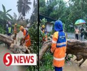 Heavy rainfall early Sunday (Oct 16) caused the water level at the Telaga Tujuh waterfall in Langkawi, Kedah to rise, stranding about 40 people including hikers.&#60;br/&#62;&#60;br/&#62;Read more at https://bit.ly/3T4t7Bv&#60;br/&#62;&#60;br/&#62;WATCH MORE: https://thestartv.com/c/news&#60;br/&#62;SUBSCRIBE: https://cutt.ly/TheStar&#60;br/&#62;LIKE: https://fb.com/TheStarOnline