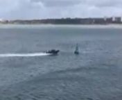 Video supplied by police of the Seadogz Rib crashing into a buoy on Southampton Water near Marchwood on 22nd September 2020.15-year-old Emily Lewis of Southampton was fatally injured in the crash. Two men, RIB skipper Michael Lawrence and boat owner Michael Howley, are on trial atWinchester Crown Court charged with negligence offences over the teen&#39;s death