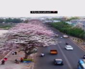 Hyderabad new look turning pink from xcspl hyderabad