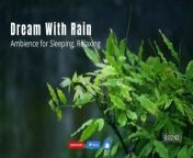 Immerse in the tranquility of a dreamy rain ambience, perfect for deep sleep and relaxation. Let the soothing sounds of rainfall whisk you away into a peaceful slumber. Unwind and rejuvenate with this calming atmosphere