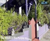 In Cooee you&#39;ll find a house painted purple and home to a witch. Her name is Delaila and she says it&#39;s not Hollywood but a lifestyle.