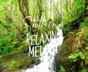 Mellow Relaxation Music - Serene Melodies for Deep Meditation, Stress Reduction, Sleep Aid from merrie melodies outro