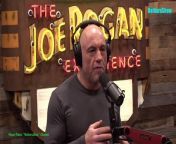 The Joe Rogan Experience Video - Episode latest update&#60;br/&#62;Jonathan Haidt is a social psychologist, professor, and author. His latest book, &#92;