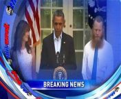 Martha Raddatz discusses the release of Sgt. Bowe Bergdahl by the Taliban.