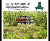 Welcome to SAMRIO%u011ELU www.samrioglu.com&#60;br/&#62;&#60;br/&#62;HAZELNUTS, DRIED FRUITS &amp; CHESTNUTS EXPORTTOTHEWHOLE WORLD &#60;br/&#62;&#60;br/&#62;Company was founded by Sadettin Samr%u0131o%u011Flu in 1940, is one of old manufacturer and trader companies that specializes in Hazelnuts. SAMRIO%u011ELU Family has been manufacturing and exporting Akcakoca quality Natural Hazelnuts for three generation, had the honor to be chosen supplier of world&#39;s giant Chocolate industries; Nestlé SA and Kraft Foods, Inc. (Previous Jacob Suchard AG) in 1990s.&#60;br/&#62;SAMRIO%u011ELU is dynamic company run by professional new generation, very active in foreign trade, supply customers all around the world also withHazelnuts ( Raw, Processed and Organic ), Chestnuts , Dried Fruits and other Nuts (both Organic and Conventional).We are very specialized also in these product categories.&#60;br/&#62;Our innovative approach to business, strong and old cooperation with our serious manufacturer partners who all are leaders in their fields and presenting unbeatable advantages to Global Buyers have enabled SAMRIOGLU to become highly respectedsupplier namein Hazelnuts and Dried Fruits sector. We are quality-oriented company, apply the rules of HACCP and ISO 9001:2000 for the best quality products in accordance with the InternationalFood Standards. Not only guaranteed top product quality, we offeryou also multi-level reliability, friendly business relations, accurate service and timely delivery. &#60;br/&#62;Key Export Products:Natural Raw Hazelnuts, OrganicHazelnuts, Roasted &amp; Blanched Hazelnuts, Sultanas, Dried Apricots, Dried Figs, Fresh Chestnuts, Frozen Peeled Chestnuts, Pistachios, Chickpeas, Pine Nuts, Poppy Seeds,Other Nuts (Industrial, Conventional and Organic)