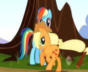 Rainbow Dash holds a flying race to determine who will win the honor of becoming her pet.