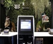 he Hen-na Hotel, near Tokyo Disneyland greets guests with robotic dinosaurs at the front desk. Hen-na translates to &#92;