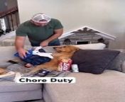 My dog ruined my clothes from hindi cartoon store video download gp