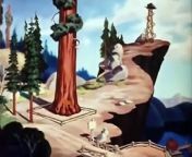 Donald Duck - Old Sequoia - 1945 Disney Toon from toon disney gets grounded