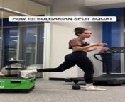 Bulgarian Split Squats Tutorial Best Guide from gul panra gym new