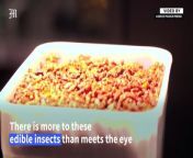 Insects swarm menu at London bug-based restaurant&#60;br/&#62;&#60;br/&#62;London&#39;s Yum Bug, touted as the world&#39;s first bug-based small plates restaurant, challenges culinary norms by offering insect-based dishes. The eatery, opened by Yum Bug company in February, aims to change perceptions about consuming bugs.&#60;br/&#62;&#60;br/&#62;Video by AFP&#60;br/&#62;&#60;br/&#62;Subscribe to The Manila Times Channel - https://tmt.ph/YTSubscribe &#60;br/&#62;&#60;br/&#62;Visit our website at https://www.manilatimes.net &#60;br/&#62;&#60;br/&#62;Follow us: &#60;br/&#62;Facebook - https://tmt.ph/facebook &#60;br/&#62;Instagram - https://tmt.ph/instagram &#60;br/&#62;Twitter - https://tmt.ph/twitter &#60;br/&#62;DailyMotion - https://tmt.ph/dailymotion &#60;br/&#62;&#60;br/&#62;Subscribe to our Digital Edition - https://tmt.ph/digital &#60;br/&#62;&#60;br/&#62;Check out our Podcasts: &#60;br/&#62;Spotify - https://tmt.ph/spotify &#60;br/&#62;Apple Podcasts - https://tmt.ph/applepodcasts &#60;br/&#62;Amazon Music - https://tmt.ph/amazonmusic &#60;br/&#62;Deezer: https://tmt.ph/deezer &#60;br/&#62;Tune In: https://tmt.ph/tunein&#60;br/&#62;&#60;br/&#62;#TheManilaTimes&#60;br/&#62;#tmtnews &#60;br/&#62;#london &#60;br/&#62;#yumbug &#60;br/&#62;#restaurant &#60;br/&#62;#insects