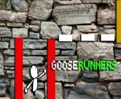 Try out GooseRunners on your Quest! from try in python 3