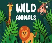 Join us on a wild adventure at the zoo!This fun and educational cartoon helps kids learn English vocabulary for all their favorite zoo animals. Perfect for toddlers and preschoolers!Subscribe for more learning fun with Bright Spark Station!&#60;br/&#62;&#60;br/&#62;#wildanimals #zooanimals #educationalcartoon #kidsenglishvocabulary #toddlers #preschoolers #learningfun #brightsparkstation #kidslearning #nurseryrhymes #cocomelon #trending