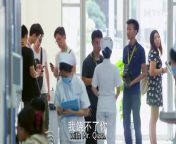 Be With You 42 (Wilber Pan, Xu Lu, Mao Xiaotong) Love & Hate with My CEO _ 不得不爱 _ ENG SUB from www video pan