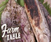 Aired (April 14, 2024): The Labog plant shows off its sour flower power in Chef JR Royol’s Labog-Stuffed Bangus.&#60;br/&#62;&#60;br/&#62;Join our exciting food exploration and learn the process of food preparation with Chef JR Royol. Catch &#39;Farm to Table&#39; every Sunday on GTV.